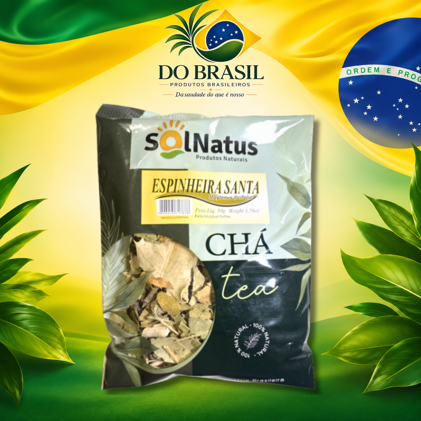 Espinheira Santa